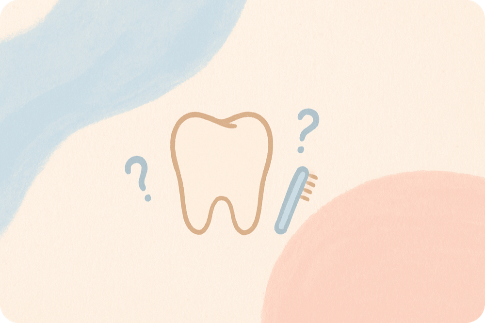 Os dentes ainda não nasceram — será que é normal?